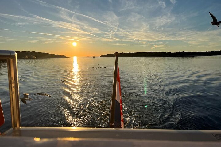 Fantastic DOLPHIN & SUNSET TOUR with dinner ( Pula-NP BRIJUNI )