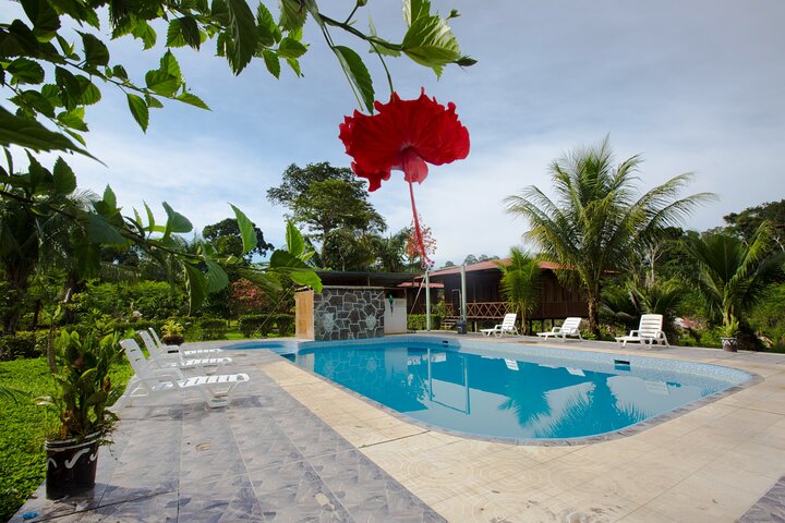 Eco Jungle 3 Days - 2 Nights
