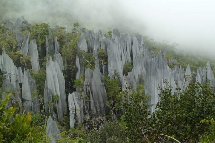 3D 2N Mulu Pinnacles Hiking Challenge
