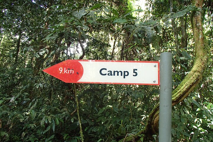 3D 2N Mulu Pinnacles Hiking Challenge