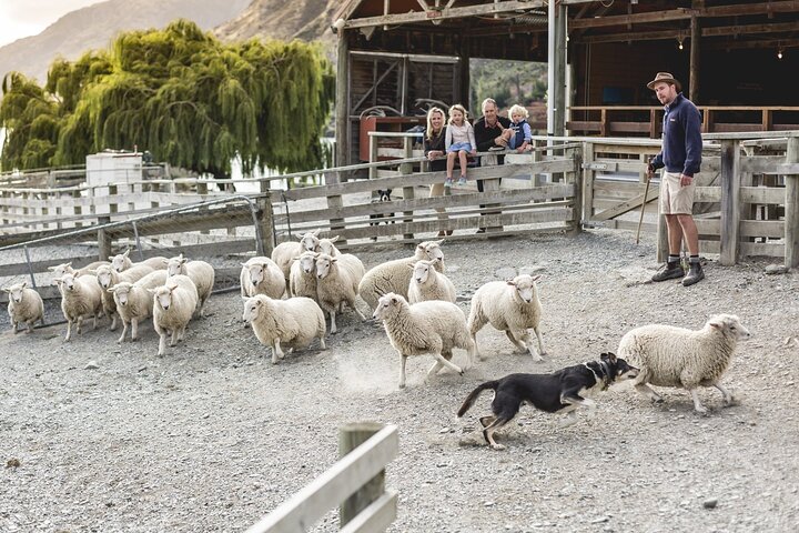 Walter Peak Gourmet BBQ Lunch & Queenstown Lake Cruise