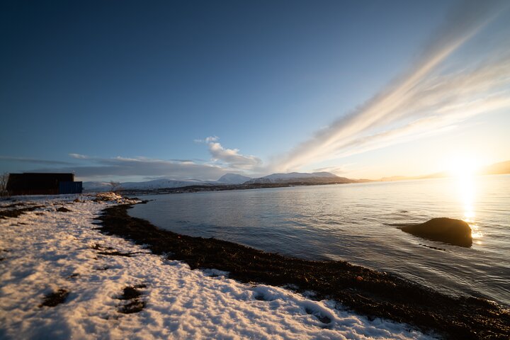 Tromsø: Fjord Adventure Tour with Wildlife and Lunch