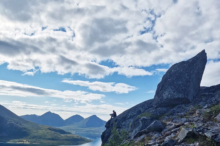 Tromsø: Fjord Adventure Tour with Wildlife and Lunch