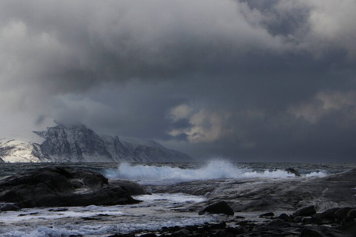Tromsø: Fjord Adventure Tour with Wildlife and Lunch