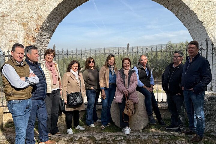 Guided tour of the Museum of Olive Culture Oil Tasting