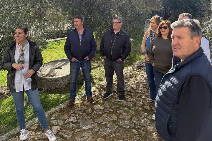 Guided tour of the Museum of Olive Culture Oil Tasting
