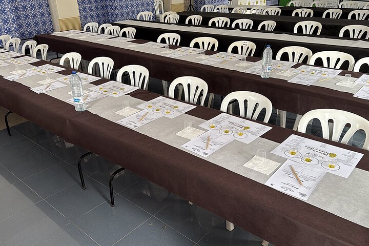 Guided tour of the Museum of Olive Culture Oil Tasting