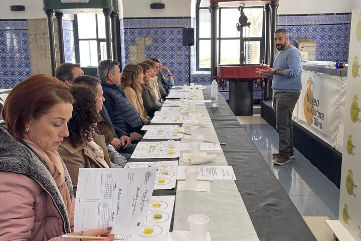 Guided tour of the Museum of Olive Culture Oil Tasting