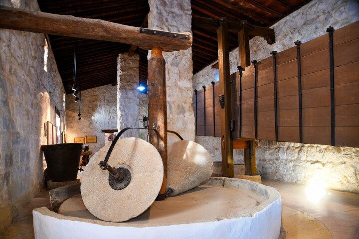 Guided tour of the Museum of Olive Culture Oil Tasting