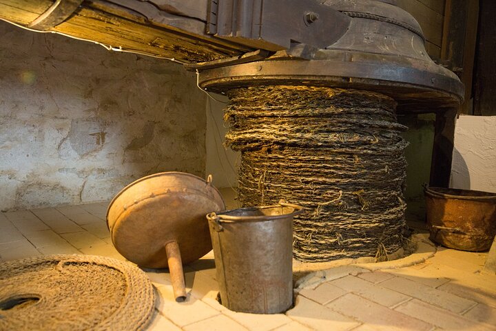Guided tour of the Museum of Olive Culture Oil Tasting