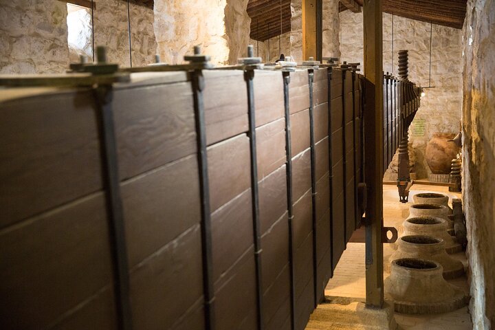 Guided tour of the Museum of Olive Culture Oil Tasting