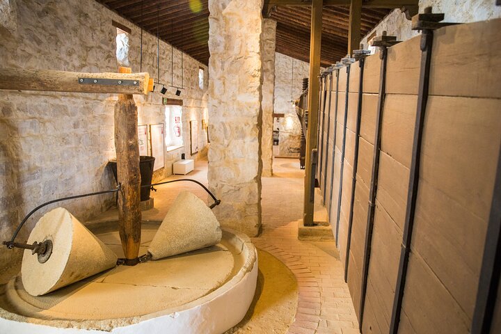 Guided tour of the Museum of Olive Culture Oil Tasting
