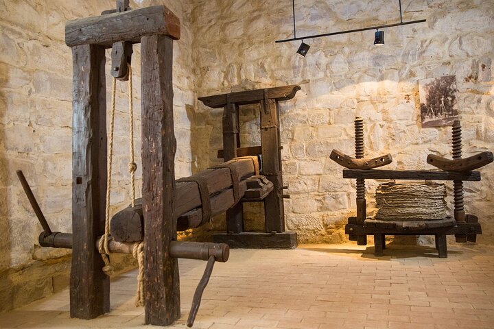 Guided tour of the Museum of Olive Culture Oil Tasting