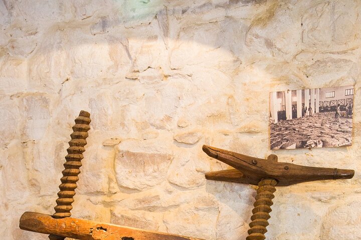 Guided tour of the Museum of Olive Culture Oil Tasting