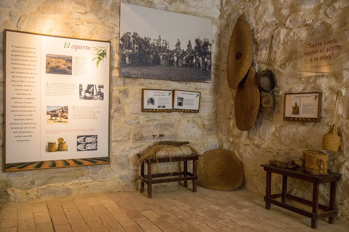 Guided tour of the Museum of Olive Culture Oil Tasting
