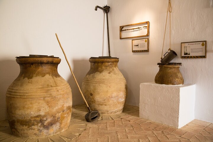 Guided tour of the Museum of Olive Culture Oil Tasting
