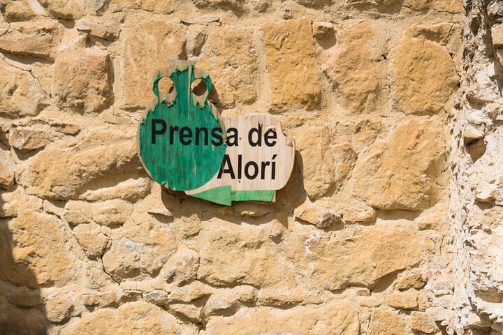 Guided tour of the Museum of Olive Culture Oil Tasting