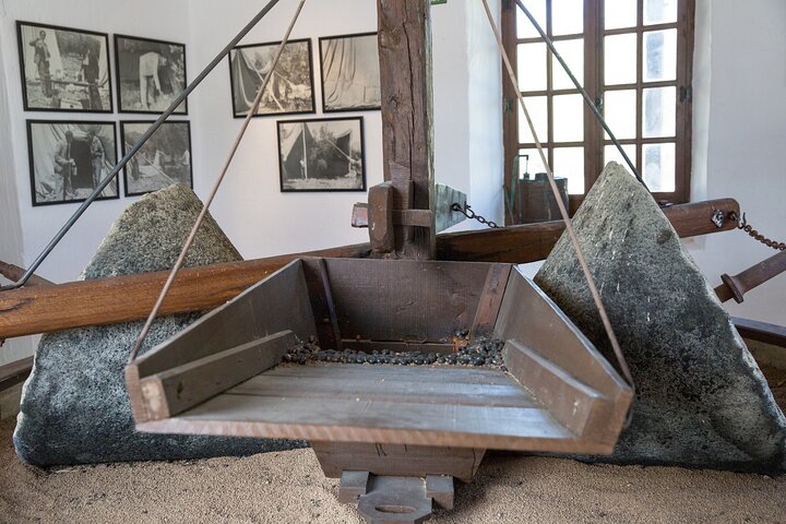 Guided tour of the Museum of Olive Culture Oil Tasting
