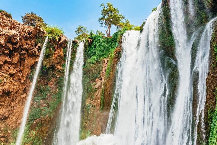 Ouzoud Waterfall Day Tour from Marrakech
