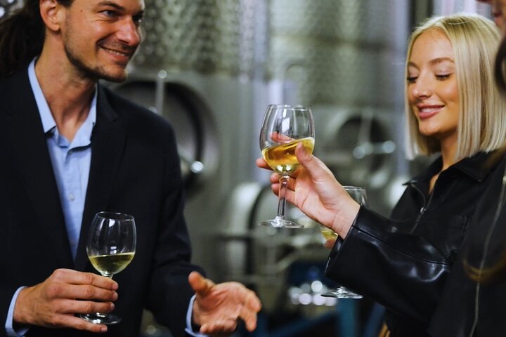 Chattanooga Wine Tasting with Art Sightseeing Tour