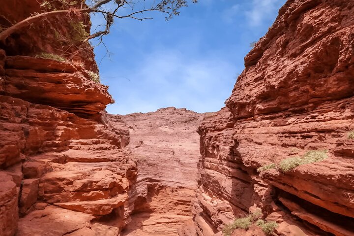 From Salta: Full-Day Tour to Cafayate, Land of Wines