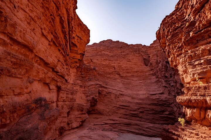 From Salta: Full-Day Tour to Cafayate, Land of Wines
