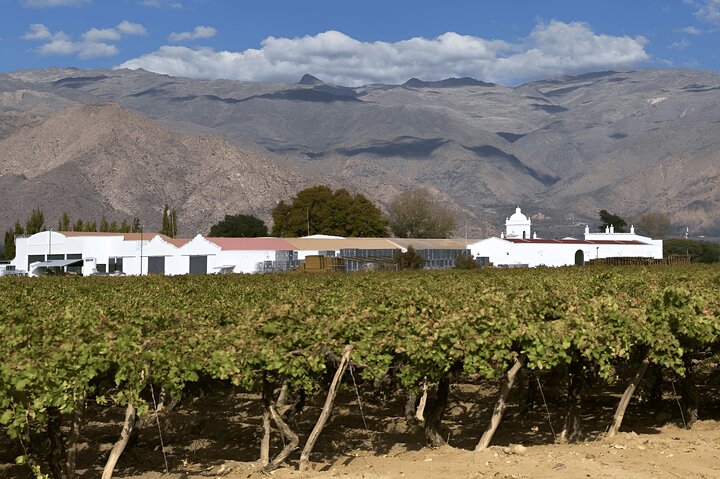 From Salta: Full-Day Tour to Cafayate, Land of Wines