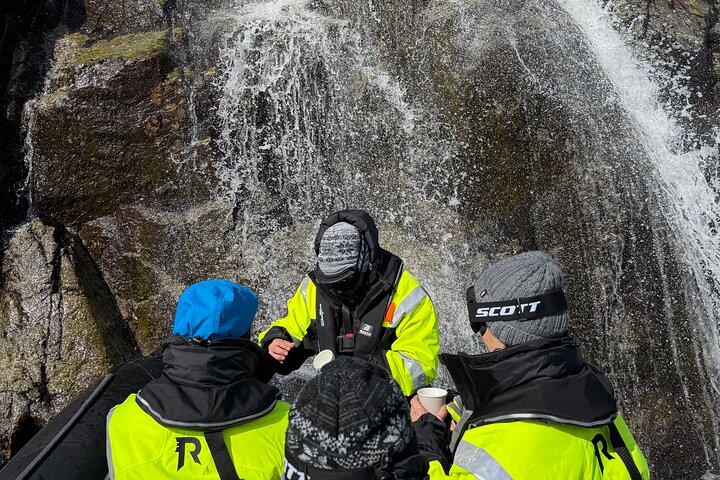 Fjord Tour with hidden cave, Preikestolen, Waterfalls and Goats