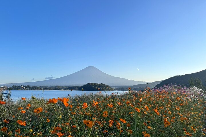 Lake Kawaguchi : Private Half Day Customized Tour w/ local guide