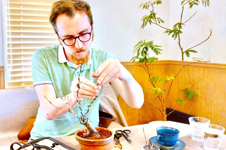 Bonsai Art Tour & Experience in Japan's Most Sacred "Bonsai City"