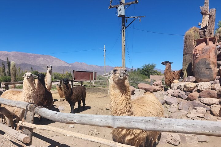 From Salta: Full-Day Tour to Humahuaca, Purmamarca and Tilcara