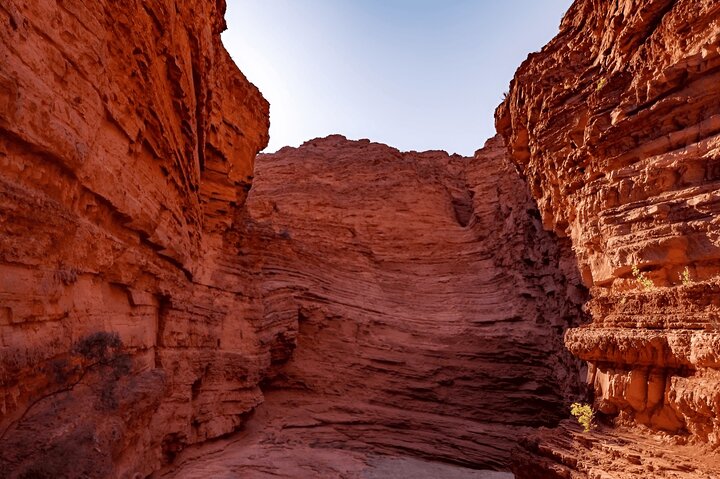 Excursion to Cafayate and Quebrada de las Conchas