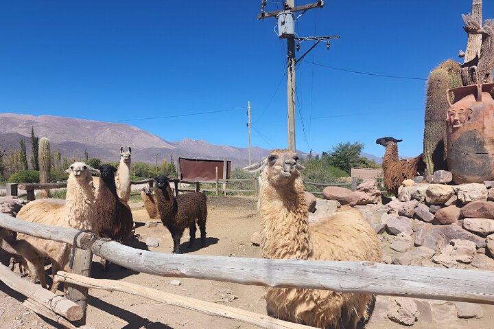From Jujuy: Full Day Tour to Humahuaca Purmamarca and Tilcara