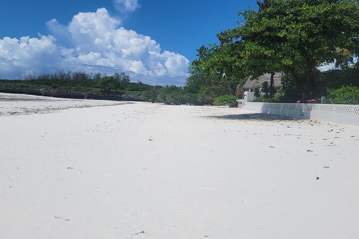 Jozani Forest Kuza Cave Paje Beach and the Rock Restaurant