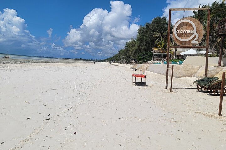 Jozani Forest Kuza Cave Paje Beach and the Rock Restaurant