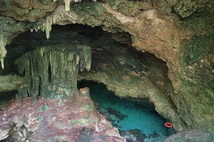 Jozani Forest Kuza Cave Paje Beach and the Rock Restaurant