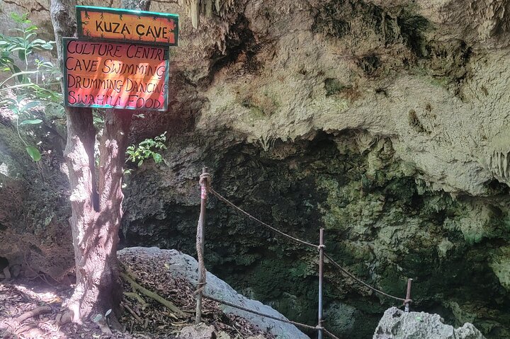 Jozani Forest Kuza Cave Paje Beach and the Rock Restaurant