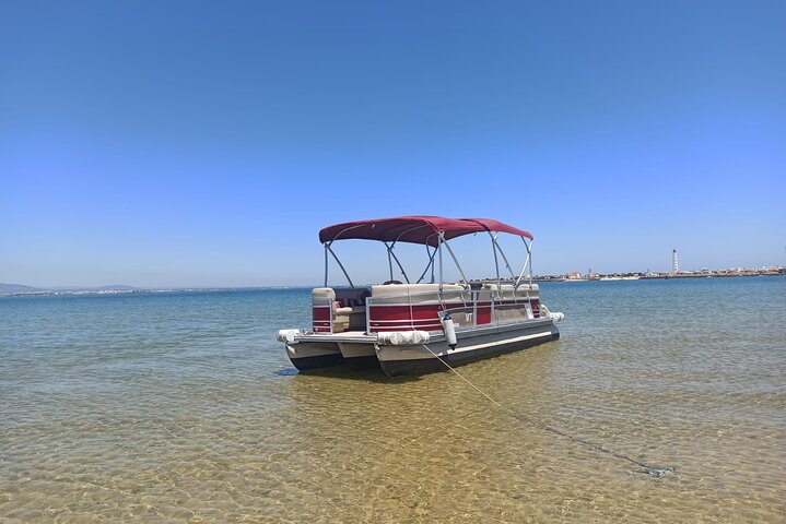 Ria Formosa Natural Park and Islands Boat Cruise from Faro