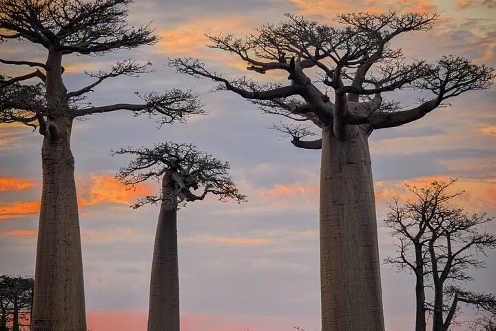 Tsingy tour 3 days start in Morondava