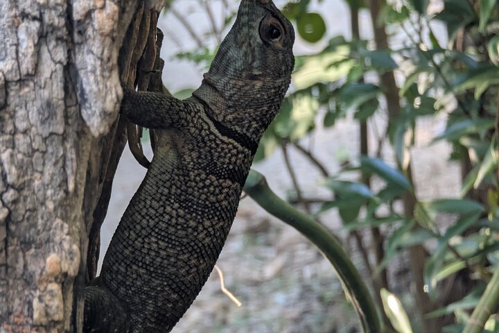 Tsingy tour 3 days start in Morondava