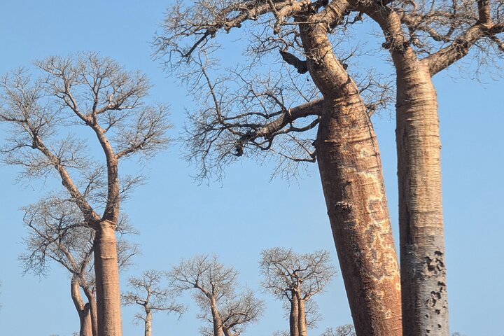 Tsingy tour 3 days start in Morondava