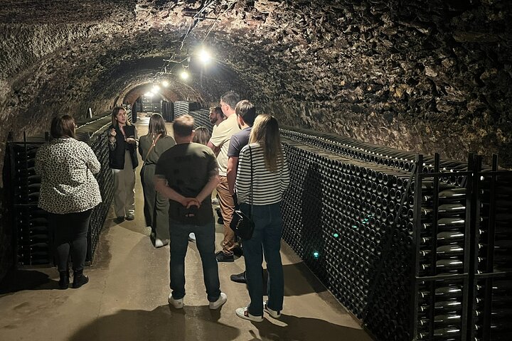 Epernay South Half Day Visit and Champagne Tastings