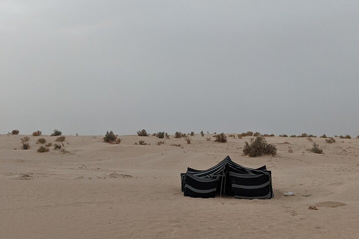 Spend a Night in the Desert with Sahara Nomads