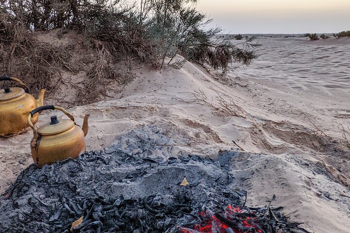 Spend a Night in the Desert with Sahara Nomads