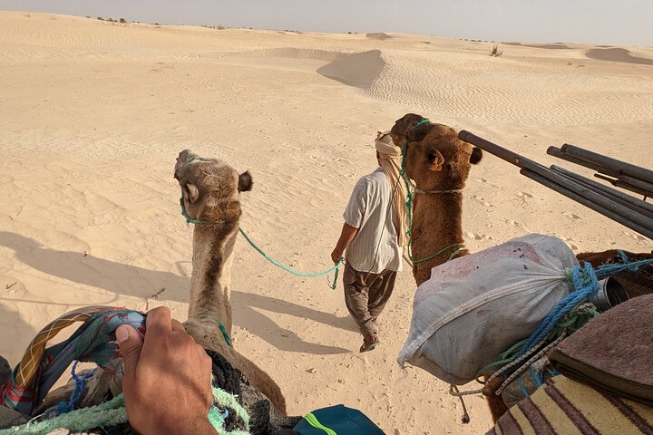 Spend a Night in the Desert with Sahara Nomads