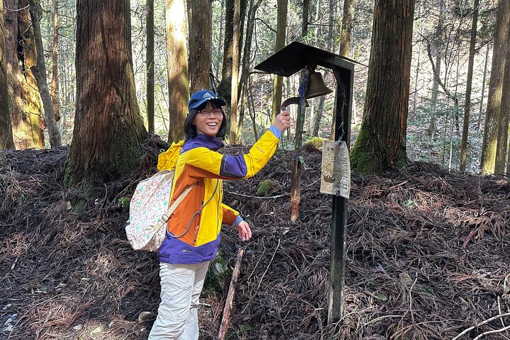 Hiking the Historic Nakasendo Trail [1 Day Tour from Nagoya]