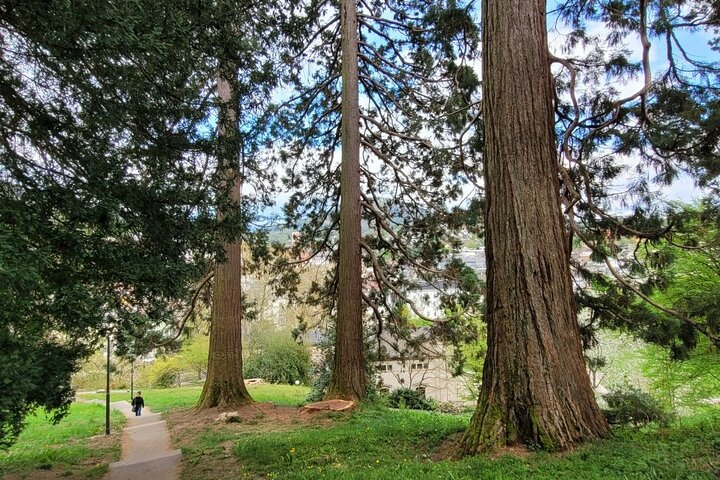 Baden-Baden Self Guided Audio Tour in English