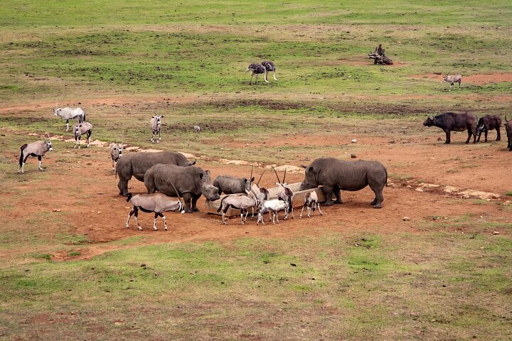 Lake Nakuru National Park Full Day Tour from Nairobi