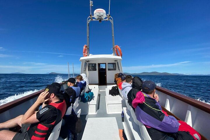 Unforgettable Skellig Michael Boat Tour