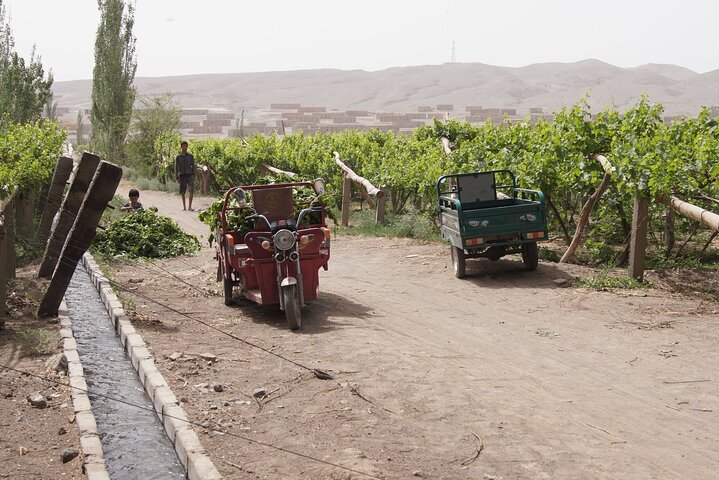 Turpan Historical 10 Highlights Private Adventure